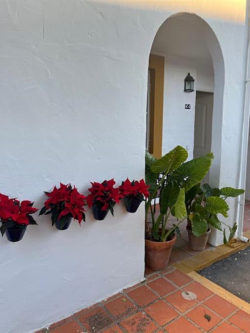Apartamento A 8Km Sevilla Centro Valencina de la Concepción Esterno foto